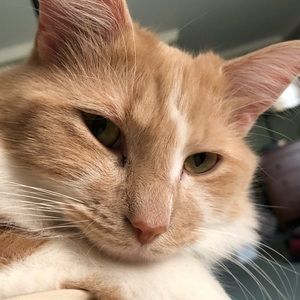 Meet your Posher, Sherri